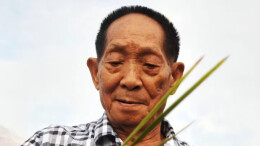 200万粉丝网红诋毁袁隆平拒不认错，平台：已处置无期限封禁