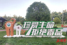 指尖随手拍，难题马上办！岳阳县开启全民共治新模式