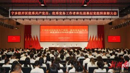 红色力量挺起发展硬支撑 宁乡经开区召开“两优一先”表彰大会