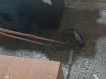 谨防蛇出没！三部门联手送上夏季防蛇“安全锦囊”