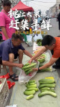 懂湘寻鲜｜庆哥赶集，不浪费好食材，也不浪费好青春：“跟我去学厨师，会比现在有出息！”
