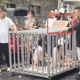 芙蓉国评论丨摆拍“浸猪笼”游街换流量，活该被关进法律的铁笼 