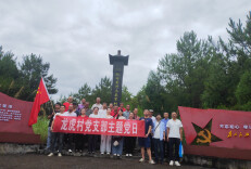 缅怀抗日英烈，江华龙虎村党支部开展“七一”主题党日活动