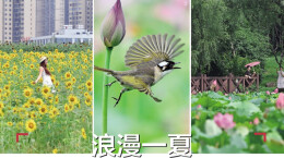 6月30日读报|75岁长沙爹爹珍藏《三湘都市报》创刊号31年