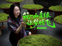 莓茶园PK赛丨④合作桥乡岩口村莓茶园：筑一山青绿 让梦腾飞