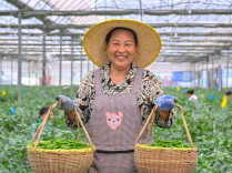 经济视野丨卖辣椒的企业，为何打起了数据“算盘”