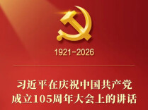 习近平在庆祝中国共产党成立105周年大会上的讲话，学金句，悟深意！