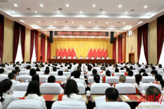 娄星区召开“两优一先”表彰大会