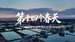 14 年，他们为何反复敲响同一扇门？