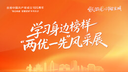 望城区“两优一先”风采展