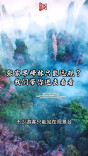 张家界峰林只能远观?我们带你进去看看|湘约一夏(8)