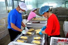 一根鲜食玉米的“升值记”