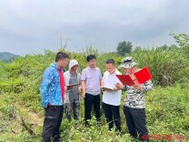 怀化市林业调查设计院完成湿地样地调查“首件必检”工作