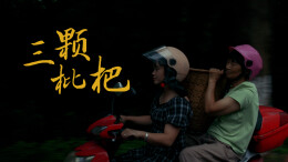 新闻微电影｜《三颗枇杷》