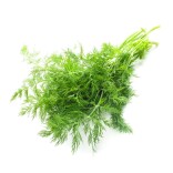 距离入伏不足15天，遇到5种“补阳菜”使劲吃，扶阳祛湿，安稳过伏天！