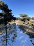 芙蓉国评论 | “刀片刺绳”争议，既要解释，更要解决