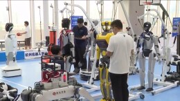 从“背答案”到“会解题” 国内首个机器人学校开学了