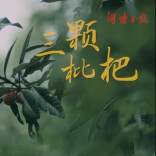 新闻微电影｜《三颗枇杷》