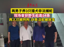 两男子养3只“寻蛇猎犬” 围捕54条蛇被森警查获 两人被刑拘