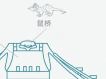 策展人“策”展（11）丨福建人的福船有灵气，十二生肖各个有“岗位”