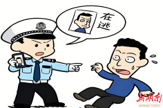 冷水江市公安局抓获一名网上逃犯