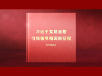 读懂中国共产党为什么能的关键密码（第三期）