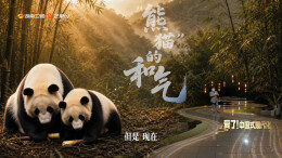 《爱了！中国式现代化》第七集：《龙、狮子和熊猫》