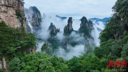 峰林云海