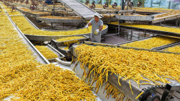 黄花菜铺出“金色”产业路