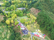 先锋闪耀丨支部领航 银杏生金——记全国先进基层党组织双牌县茶林镇桐子坳村党支部@湖南日报要闻头条