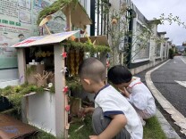 怀化市鹤城区第二幼儿园：从一只小虫开始的温暖旅程