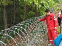 围山多年的泰山刀片刺网，是怎么来的？