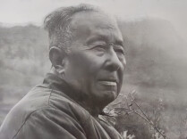 散文丨山里的星星