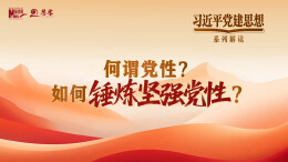 习近平党建思想系列解读七