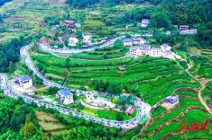 “留守妈妈”变身“产业工人”