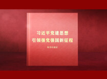 读懂中国共产党为什么能的关键密码（第六期）