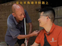 懂湘寻鲜｜“你不来买，我卖不完！”这次，庆哥把安化羊角塘镇83岁老人挖的200来斤藠头全买了