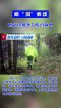 视频|新化供电全力防汛保电