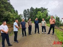 新化县领导到科头乡考察黄精产业基地