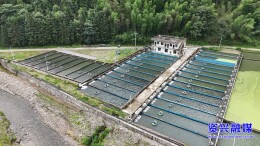 深山鲟鱼“游”出国门 资兴特色水产俏销越南
