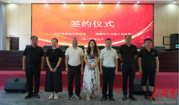 白马镇：引企入驻添活力 招商引资结硕果