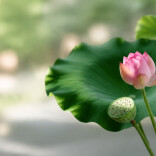 小暑至，健康迎“烤”验