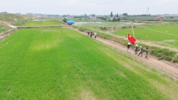 岳阳这个3万人小镇，凭什么拿全国先进？