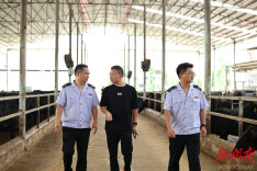 涟源税务：税惠添“牛”力 服务促振兴