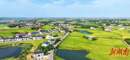 有路长有管护有共治，乔口这样守护美丽农村公路