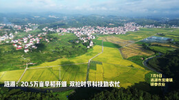 20.5万亩早稻开镰 涟源双抢时节科技助农忙