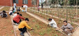 江永县特殊教育学校深耕温情育人特色办学路