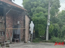 马蜂盘踞家中外墙，望城消防摘巢除险