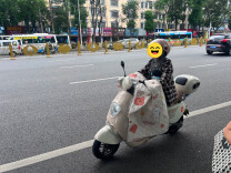 不戴头盔、逆行！摩电交通违法大曝光
