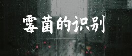 洪水过后，霉菌预防与处理，这些细节别忽略